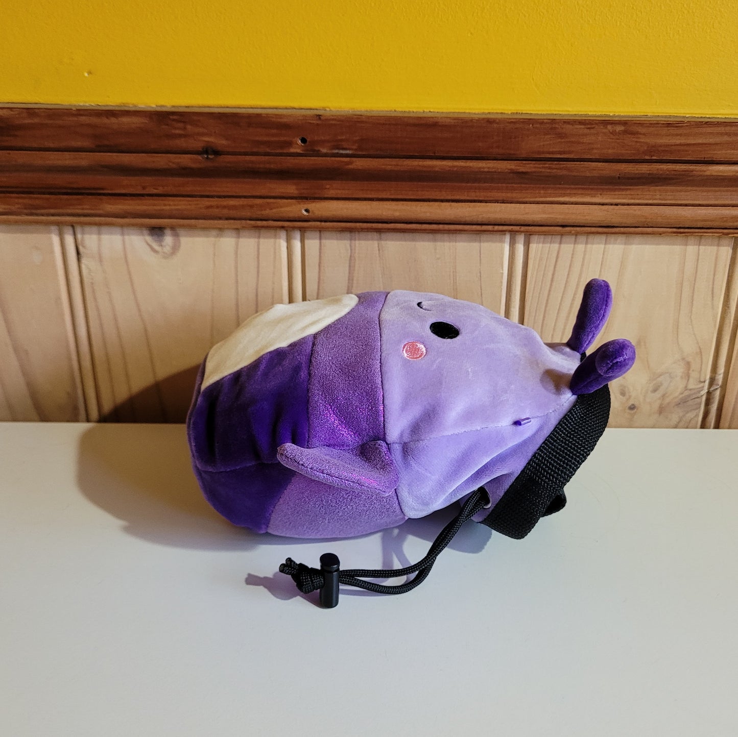 Purple Iridescent Beetle Rock Climbing Chalk Bag